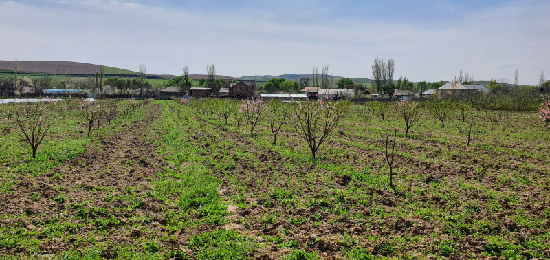 Продам, Дома и Дачи, РРП, Гиссар, Гуриёт, цена 500 000 Продам, Дома и Дачи, РРП, Гиссар, Гуриёт, цена 500 000